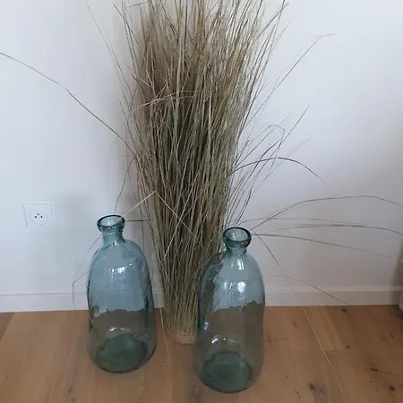 L'opaline - Vue Plage-mer-digue-wifi-netflix-parking Abrite Апартаменты *